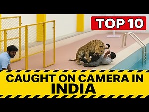 WILD ANIMALS Invade Cities! Top 10 SCARIEST Attacks in India Caught on Camera