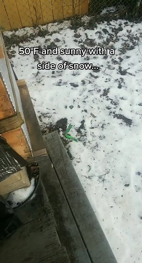 meat popsicle (@meatpopsicle85833014)’s videos with original sound - meat popsicle