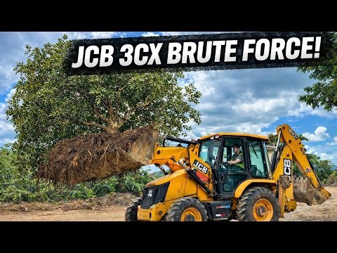 JCB 3CX BRUTE FORCE! Ripping Out a Massive Tree Like It’s Nothing 💪🌳 #BruteForce #HeavyEquipment