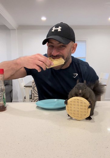 Heartbreaking Farewell to a Beloved Pet Raccoon Named Mousey