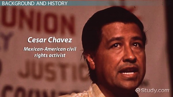 Chicano Civil Rights Movement | History, Timeline & Significance