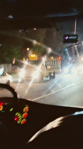 2016 Bluebird Vision Handicap ♿️ Bus 3204(Remastered)has returned