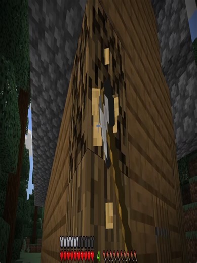 Exploring Mental Health Through Minecraft: A Unique Perspective