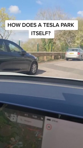 Tesla Playtime on TikTok