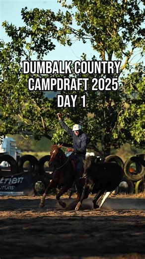 Dumbalk Country Campdraft 2025: Day 1 Highlights