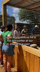 264K views · 9.2K reactions | Add our Fennec Fox Encounter to your...