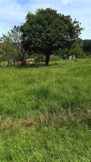 Community Church Cleanup Initiative