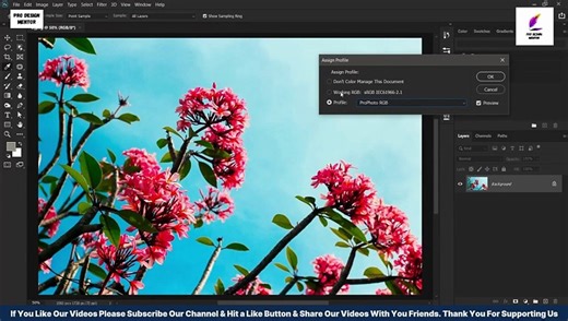 Basic Selections - Adobe Photoshop for Beginners - Class 1