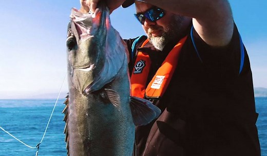 Now is about the best time to be targeting hapuka. Here's a few tips on how from the pros, with Yamaha School of Fish off Wellington's Kapiti coast. Yamaha Marine New Zealand | New Zealand Fishing World