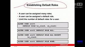 Oracle_sqlldr_3