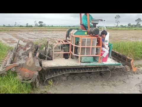 🚜 Cambodian Rice Fields: A Day with Father and Son 🌾