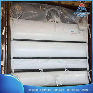 [Hot Item] Anthen 20FT 40FT Container Liner Bag for Export Package in Container