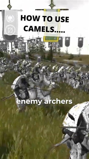 HOW TO USE CAMELCATAPHRACTS in Total War Rome 2