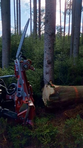 Weidemann T5522 mit Tajfun Forstseilwinde 😁👌 . . . #mayerlandmaschinen #weidemann #seilwinde | Mayer Landmaschinen