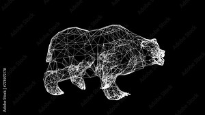Abstract animation of a bear walk. Poly wire frame illustration. Wild animals concept. Polygonal art with lines and dots. plexus line motion