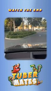 248K views · 10K reactions | Funny moments of animals #trenudingpets #husbandwifefunnyreels #viralreels #animalsviralvideo #viraldubbing #animalsviral #dubbingvideo #comedy #tamildubbing #humor | TUBER MATES | Facebook