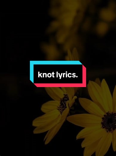Understanding the Meaning Behind 'Knot' Lyrics
