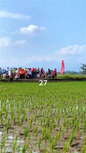 ALBY Pro | Reddevil x 3R | Instagram