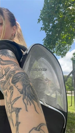 Cat backpack activities ✨
