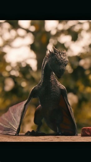 #aknightofthesevenkinhdom #gameofthrones #motherofdragon