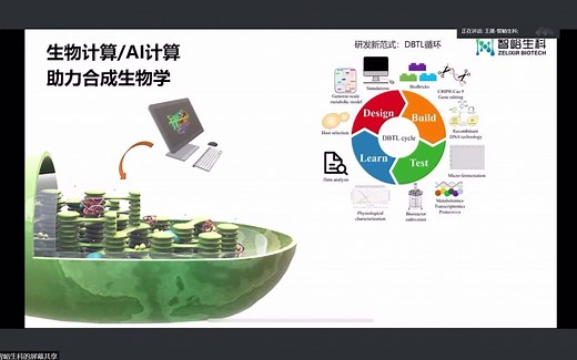 利用AlphaFold2高通量预测蛋白质结构