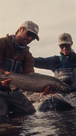 Lords Of The Fly 👑 | One country, one river, and one goal…to break 30. ~ Patagonia’s Limay River is one of the few places in the world where browns grow beyond... | Instagram