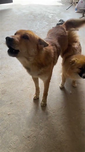 Unlock the Secret to Cooking Like a Pro