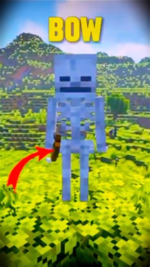 Why Skeletons Only Use Bow & Arrow in Minecraft? 🏹🤔‪@Mc-lol‬#mclol#shorts#minecrafttheories#skeleton