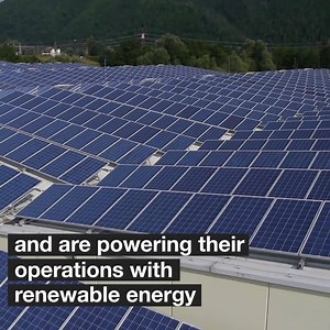 We're calling on Australia's biggest electricity using companies to make the switch to 100% renewable energy. | Greenpeace Australia Pacific