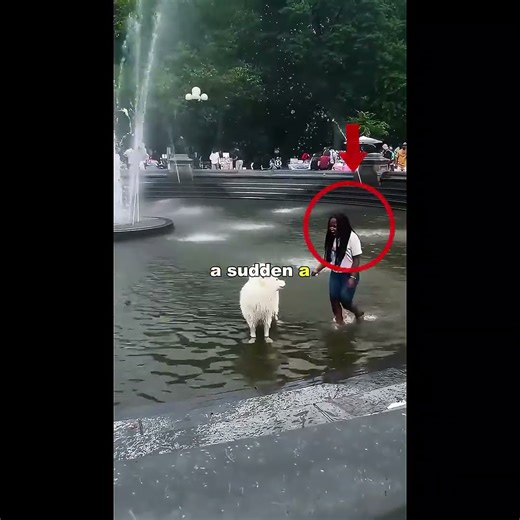 Best Unexpected Playdate Ever! #shorts #shortvideos