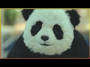 Funny "Panda" Commercials 🐼
