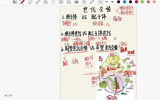 植物学｜世代交替；孢子体世代、配子体世代，孢子体、配子体