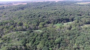 7.7K views · 21 reactions | Upcoming Listing! Knox County 190 Acres. Whitetail dream! Text for details 309-256-0999 | Illinois Land Company | Facebook