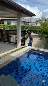 ¿De qué color es el loro?