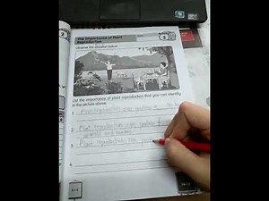 [DLP Activity Book Explanation] Year 3 Science DLP page 47-48