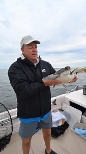 Listen up! 📣 A special Giving Tuesday message from Sea Turtle Conservancy’s (STC) Executive Director, David Godfrey… All donations made through the official Giving Tuesday link in our bio or stories will be MATCHED this week! 🐢🔗 **Turtle work done under FWC MTP 118** | Sea Turtle Conservancy