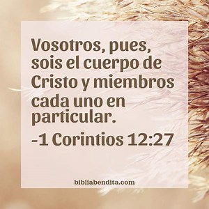 Explicación 1 Corintios 12:27. 'Vosotros, pues, sois el cuerpo de Cristo y miembros cada uno en particular.' - BibliaBendita