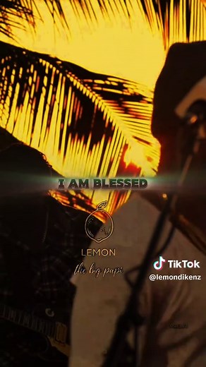 Mr. Vegas - I Am Blessed Lyrics Explained