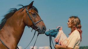 Pferd am Stiel - Trailer Deutsch