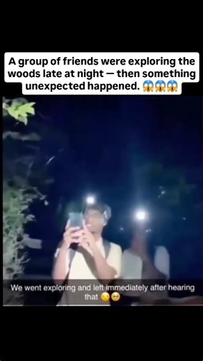Scary_Encounter5 on Instagram: "A group of friends were exploring a wooded area late at night when their laughter suddenly stopped. Out of nowhere, a piercing scream echoed through the trees — long, high-pitched, and unlike anything human. With only their headlamps cutting through the darkness, panic set in as they scanned the forest, unsure of what was watching… or what had made that sound. Realizing they might be in danger, they quickly decided to leave, recording the dense, shadowy woods as t