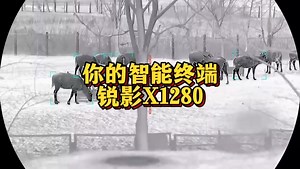 锐莱司 X1280 智能三光一体终端 具有智能追踪功能 能区分人和动物并给出不同提示 当画面中有人和动物的时候 人是黄色追踪框且屏幕右上有警示信息