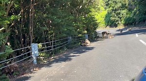 Michael Duby on Reels