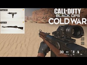 Black Ops Cold War Alpha Gameplay - Socimi Type 821-SMG & Type 63 Gameplay | Call of Duty
