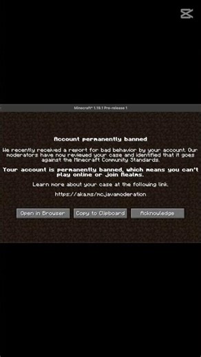 What did I do wrong? #erika #minecraft #music #whatdidido