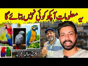 Ye Ghaltiyan Kabhi Mat Karna! 🛑 | African Grey & Macaw Parrot Care Guide