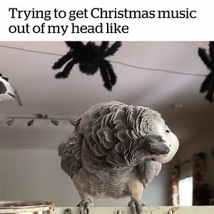 60K views · 863 reactions | MAKE IT STOP! | Lovimals | Facebook