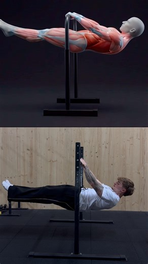 Frontlever tutorial🔥 #calisthenics #motivation #gym #viralvideo #frontlever #tutorial #workout