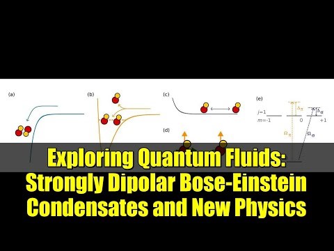 Exploring Quantum Fluids: Strongly Dipolar Bose-Einstein Condensates and New Physics