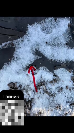 Courier Job Opportunities in Tolyatti and Moscow