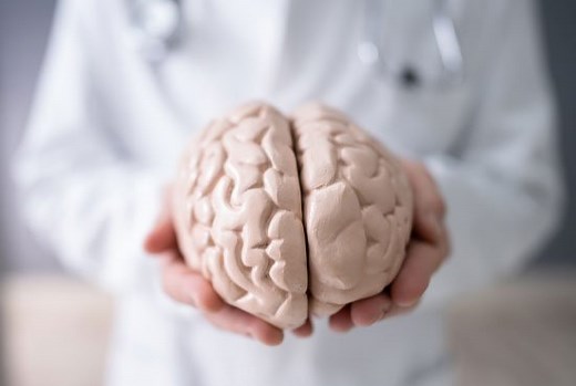 The Weight of the Human Brain and Other Interesting Facts